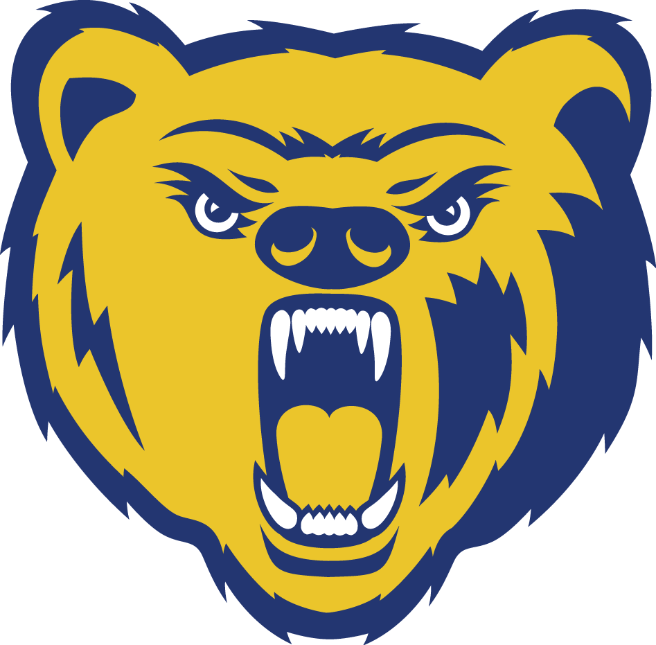Northern Colorado Bears 2004-2009 Secondary Logo diy iron on heat transfer